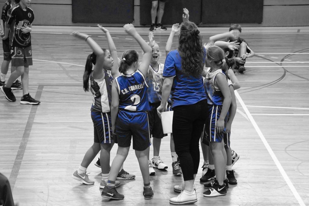 miniblaufem