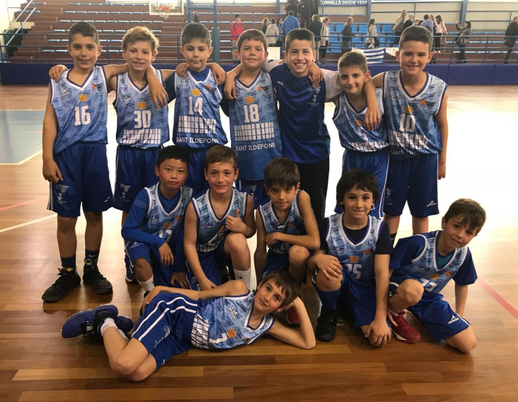 Preminib-cbcornella-cbsjo