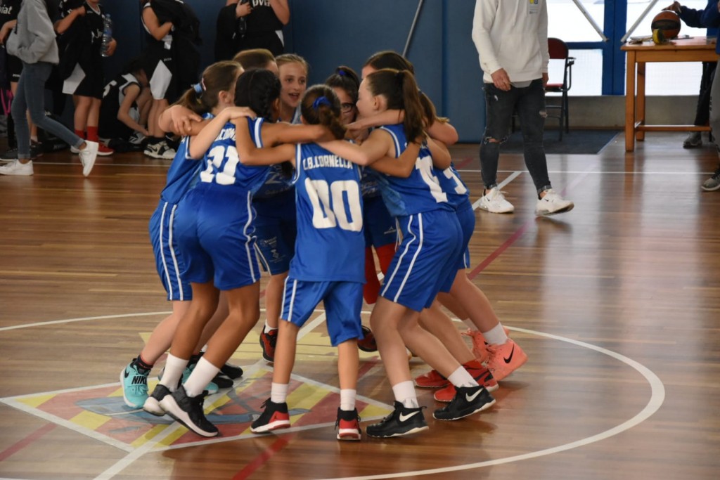 Minibfem-cbcornella-joviat