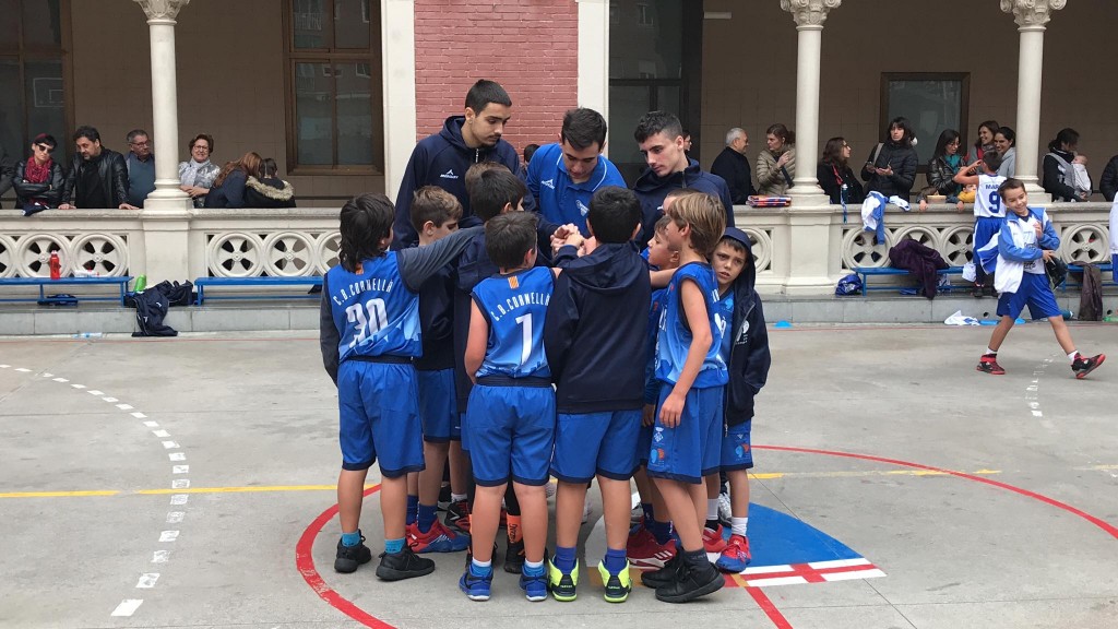 Premini b masc - ue claret